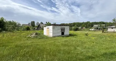 Plot of land in Mikalajeuscynski sielski Saviet, Belarus