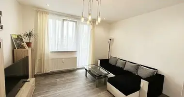 3 bedroom apartment in Nova Role, Czech Republic