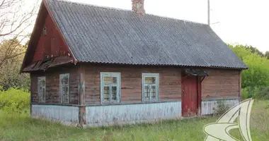 Haus in Znamenski selski Savet, Belarus