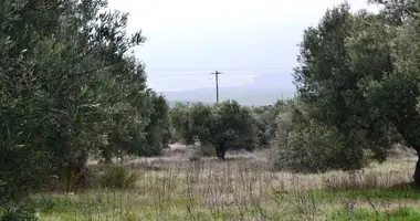 Terrain dans Polygyros, Grèce