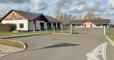 Производство 495 м² в Ракитницкий сельский Совет, Беларусь