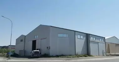 Entrepôt 808 m² dans Aradippou, Bases souveraines britanniques