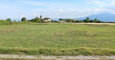 Plot of land in Peristasi, Greece