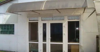 Производство 209 м² в Плещеницы, Беларусь