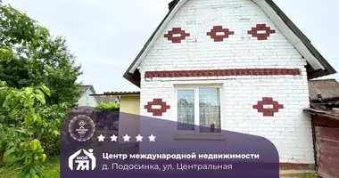 House in Cyzevicki sielski Saviet, Belarus
