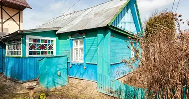 House in Vialiki Trascianiec, Belarus