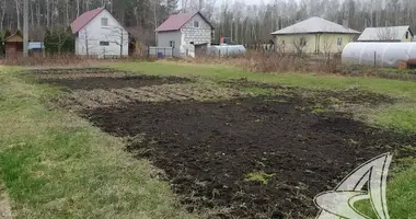 Дом в Брест, Беларусь