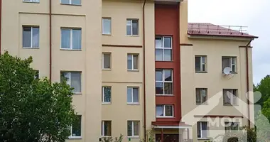 3 room apartment in Narach, Belarus