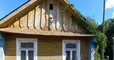 Дом в Несвиж, Беларусь