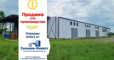 Producción 2 233 m² en Lienina, Belarús
