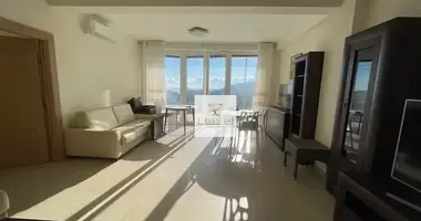 3 bedroom apartment in Topla, Montenegro