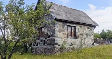 Maison dans Kaunas, Lituanie