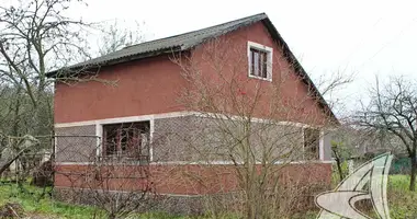 House in Chacislauski sielski Saviet, Belarus