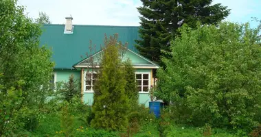 Дом 3 комнаты в Mginskoe gorodskoe poselenie, Россия