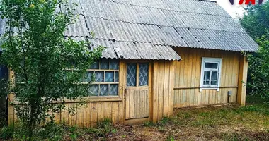 House in Haradzilauski sielski Saviet, Belarus