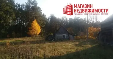 House in Parecki sielski Saviet, Belarus