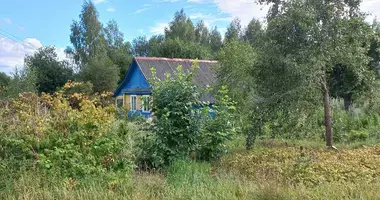Dom w Ivianiecki sielski Saviet, Białoruś