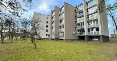 3 room apartment in Druskininkai, Lithuania