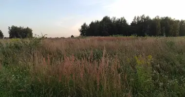 Grundstück in Tinuzu pagasts, Lettland