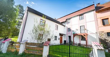 House in Netolice, Czech Republic