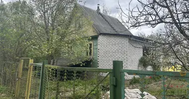 Dom w Prygaradny selski Savet, Białoruś