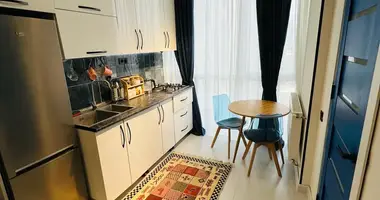 2 bedroom apartment in Tbilisi, Georgia