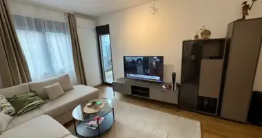 2 bedroom apartment in Podgorica, Montenegro