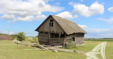 Grundstück in Telminski sielski Saviet, Belarus