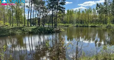 Дом в Bulotai, Литва