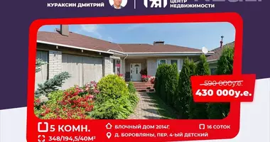 Cottage with garden, with landscape design, with gazebo in Borovlyany, Belarus