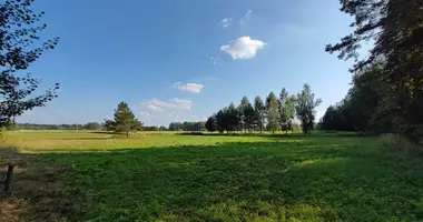 Plot of land in Kreslynai, Lithuania