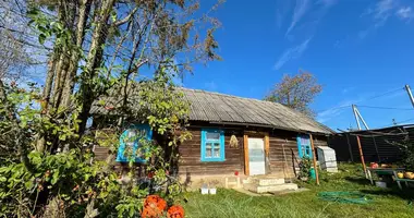 House in Astrasyckaharadocki sielski Saviet, Belarus