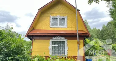 House in Niemanicki sielski Saviet, Belarus