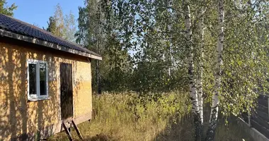 House in Kalodishchy, Belarus