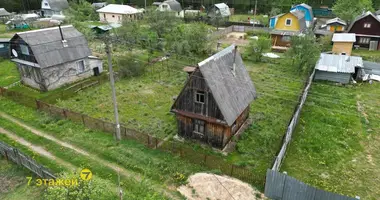 Haus in Hlivinski sielski Saviet, Belarus