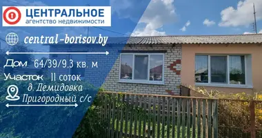 Casa en Demidovka, Bielorrusia