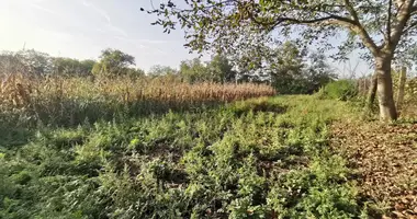 Terrain dans Aba, Hongrie