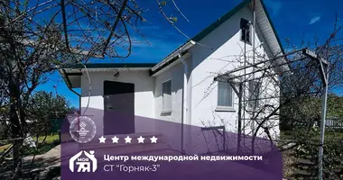 House in Starobinski sielski Saviet, Belarus