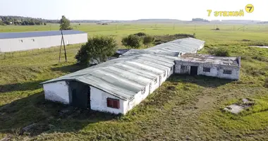 Entrepôt 1 122 m² dans Lahojsk selsaviet, Bélarus