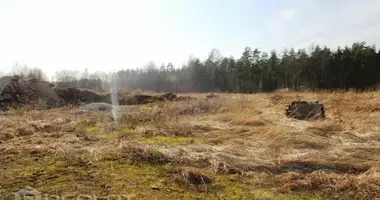Участок земли в Baldones pagasts, Латвия