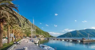 1 bedroom apartment in Stoliv, Montenegro