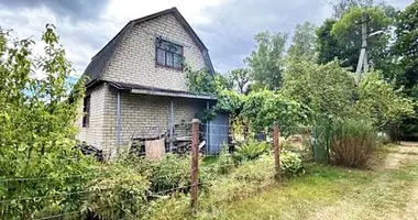 Дом в Руденский сельский Совет, Беларусь
