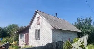 House in Skoki, Belarus