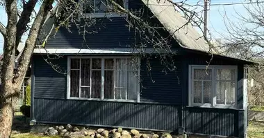 Maison dans Aliachnovicki sielski Saviet, Biélorussie