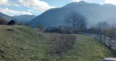 Участок земли в Боржоми, Грузия