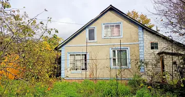 House in Zhunski sielski Saviet, Belarus