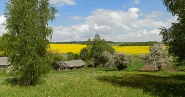 Grundstück in Valozynski siel ski Saviet, Weißrussland