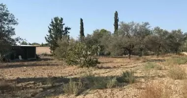Участок земли в Лация, Кипр