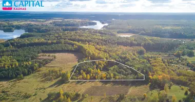 Plot of land in Lazdijai, Lithuania