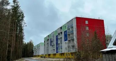 Apartment in Zelenogorsk, Russia